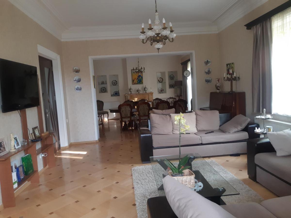 Neli & Zaal Guest House Телави Екстериор снимка