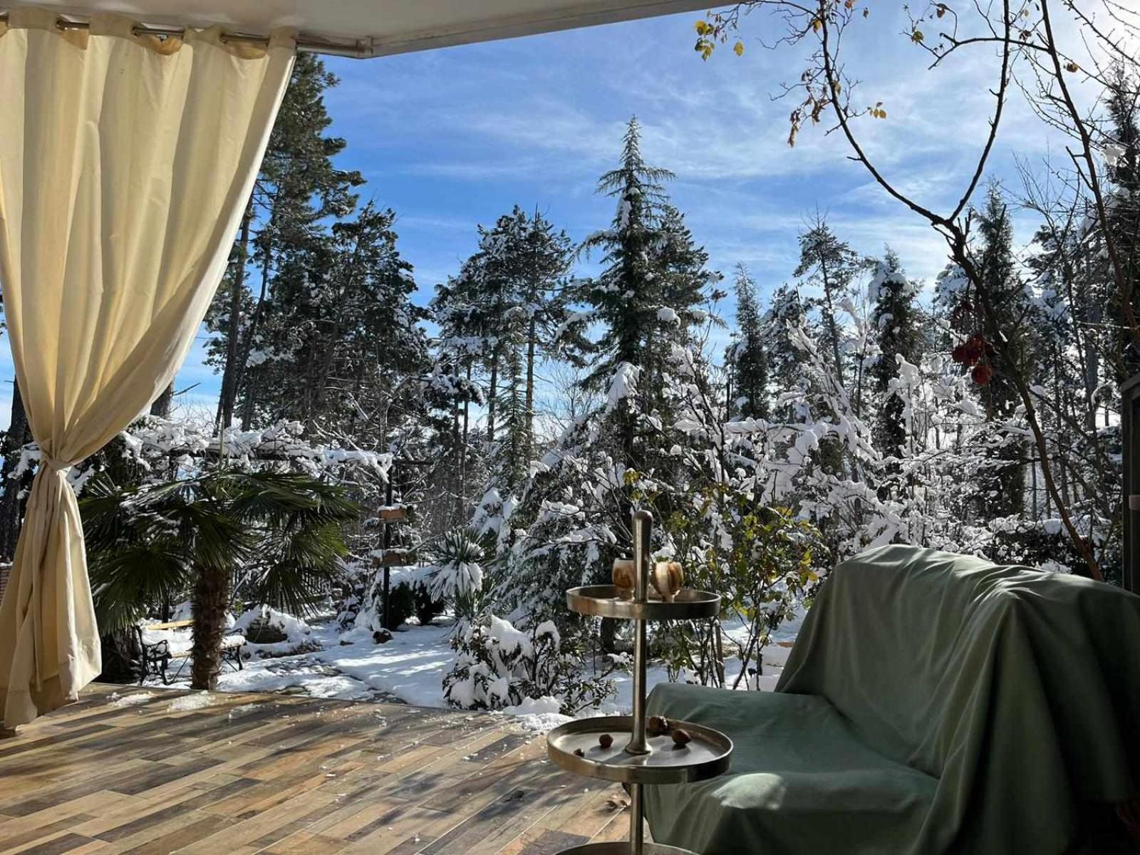 Neli & Zaal Guest House Телави Екстериор снимка